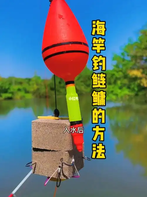 海竿钓鲢鳙的方法