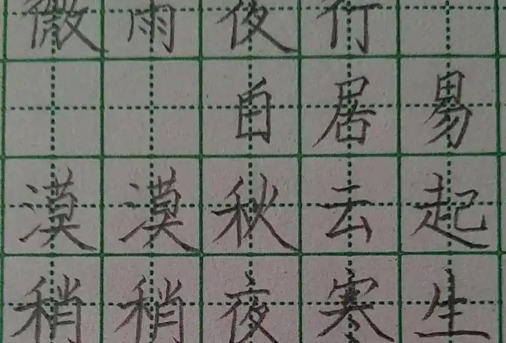 写古诗《微雨夜行》,练习铅笔字