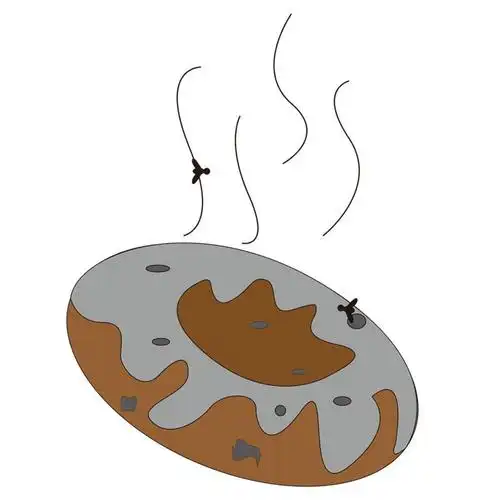 77死因不明的动物不食用;77野生的蘑菇不食用;77生冷食物不食用