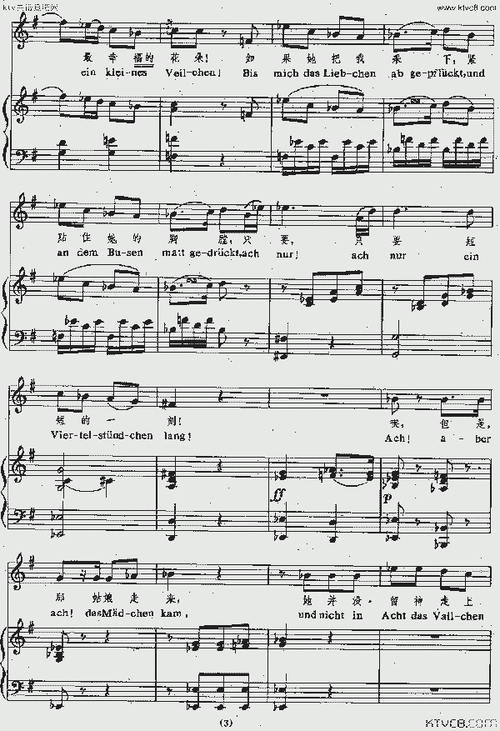 紫罗兰(正谱)[奥]