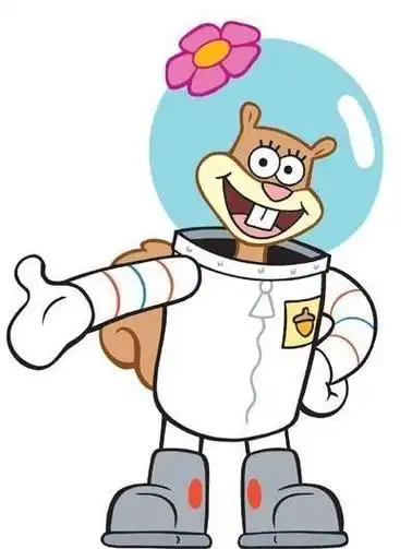 p>珊迪·奇克斯(英文名称:sandy cheeks)是美国动画片《 a target="
