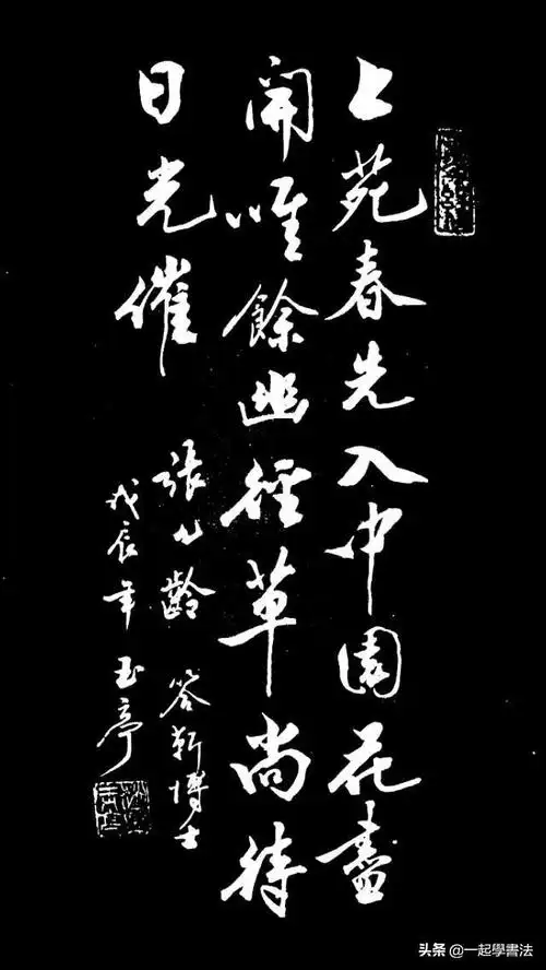 赵玉亭书法作品—只有诗词与书法相结合,才会如此好看,美不胜收