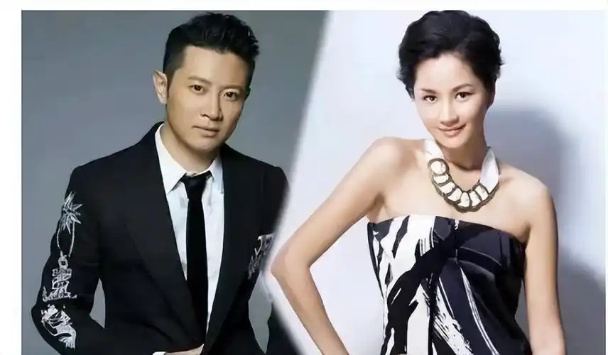 瞿颖结婚了吗?老公是谁(瞿颖:52岁仍未婚未育)