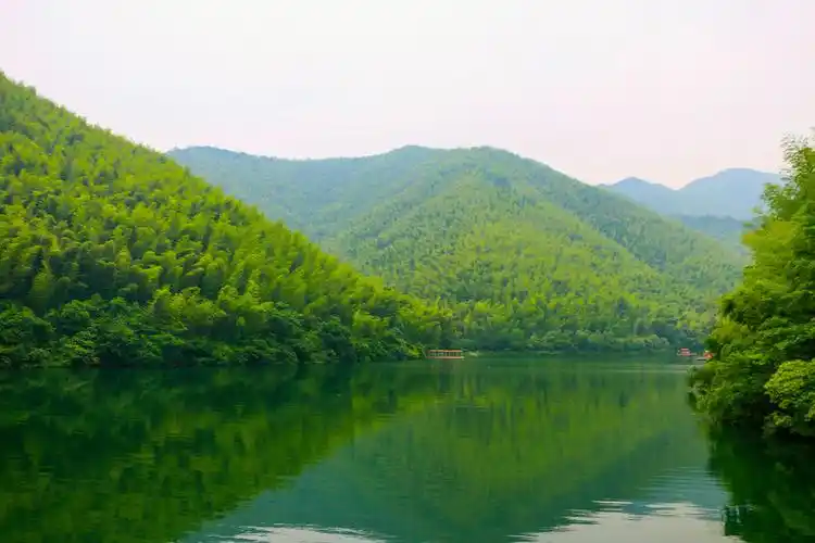 向日葵郁金香马蹄莲铃兰百合非洲菊鲜花组图元素清明节山水风景公园
