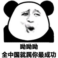 呦呦呦,全中国就属你最成功_成功_中国表情