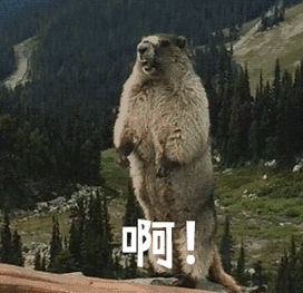 springcloud实战一次开发中使用feign添加动态header问题思考