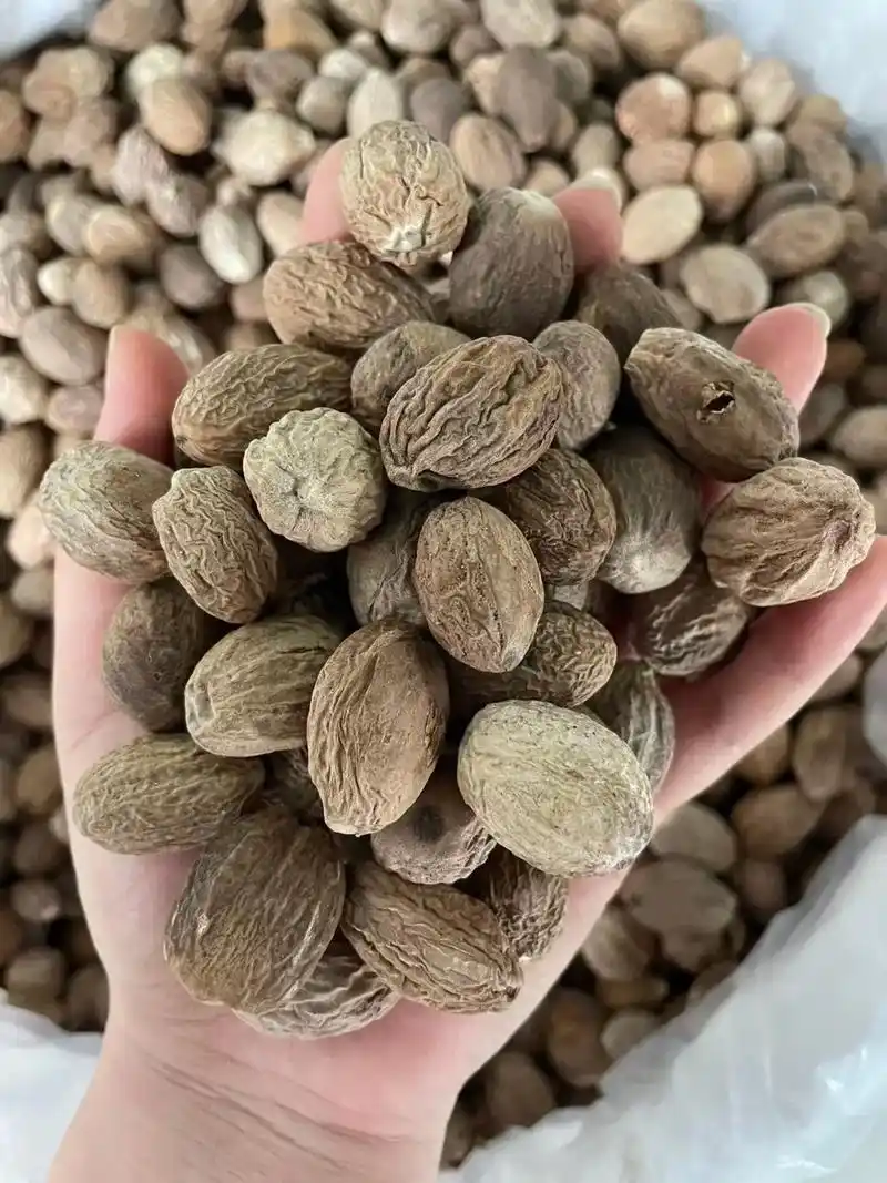 特价9254.8每公斤,统肉蔻 特色:中 - 抖音