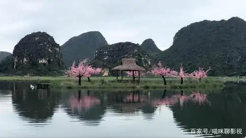 《三生三世十里桃花》是由林玉芬执导,杨幂,赵又廷等主演的古装玄幻剧