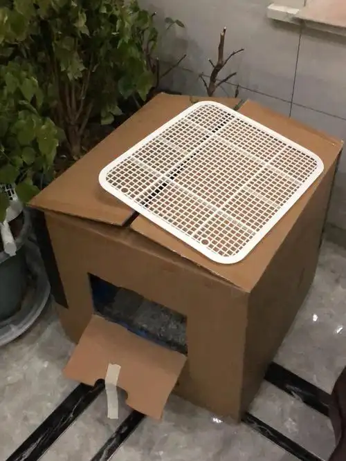 小猫咪日常之自制猫砂盆