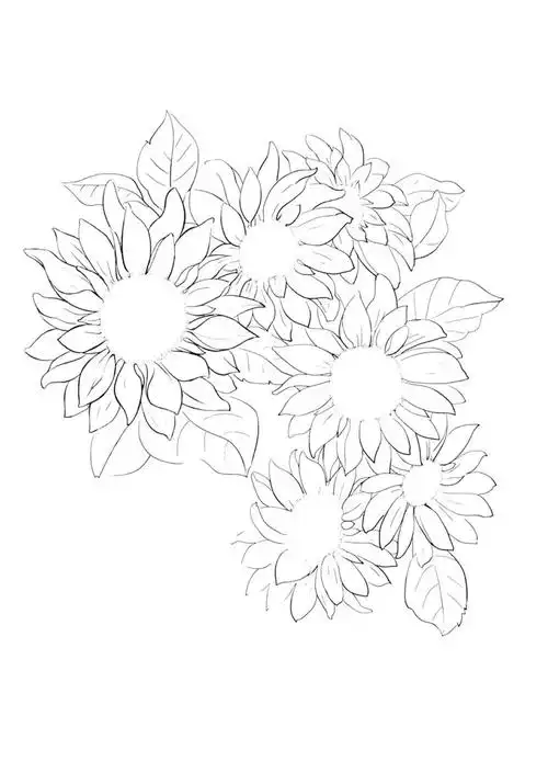 漂亮的太阳花,早安,小伙伴儿们!