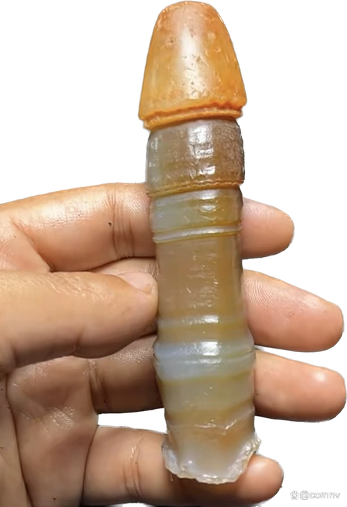 阳元石【天根—生命之根】