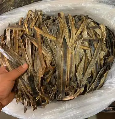 常年大量回收蚯蚓干货蚯蚓仪器均有销售