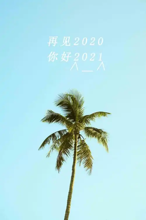再见2020你好2021