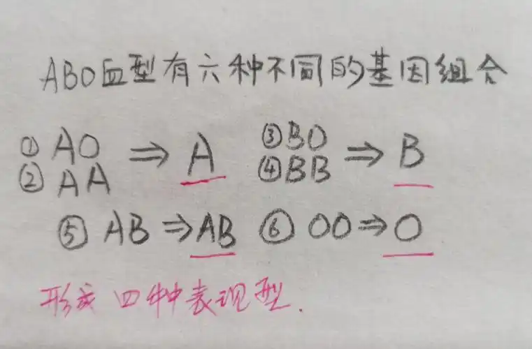 abo血型,父母和子女遗传关系.