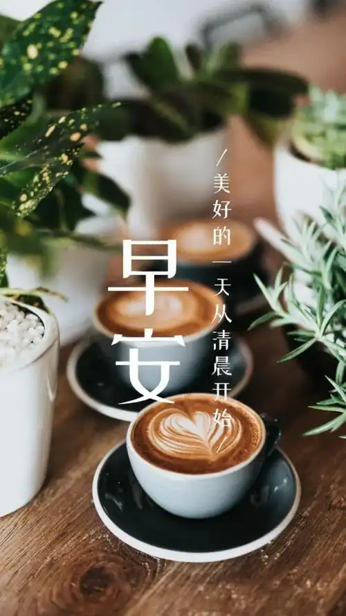 早安句子朋友圈高情商_早安的句子朋友圈