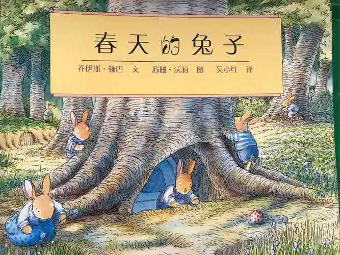 封面上这只可爱的小兔子有一个好听的名字哦,它叫斯玛杰.