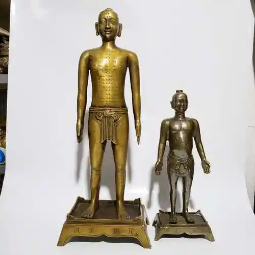适用于纯铜穴位人针灸人体男女模型铜人艾灸经络图中医药王医馆展示