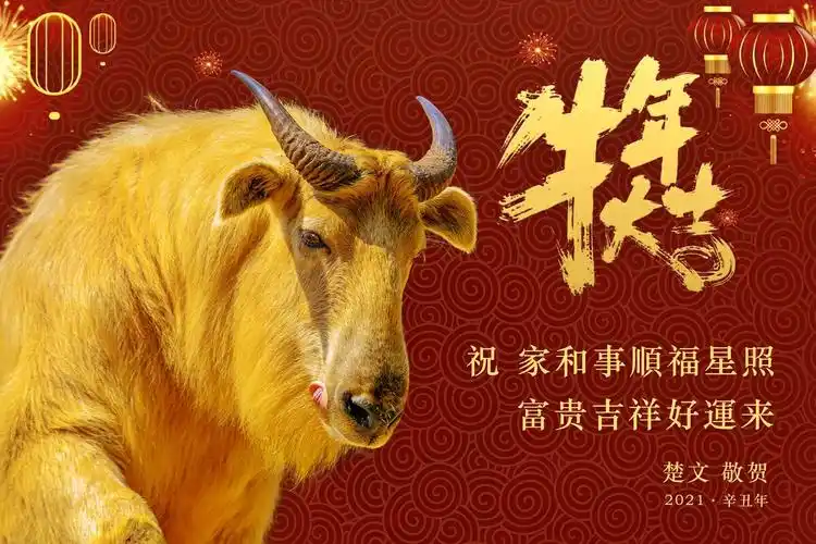 祝图友牛年大吉大利赚取更多图片收益