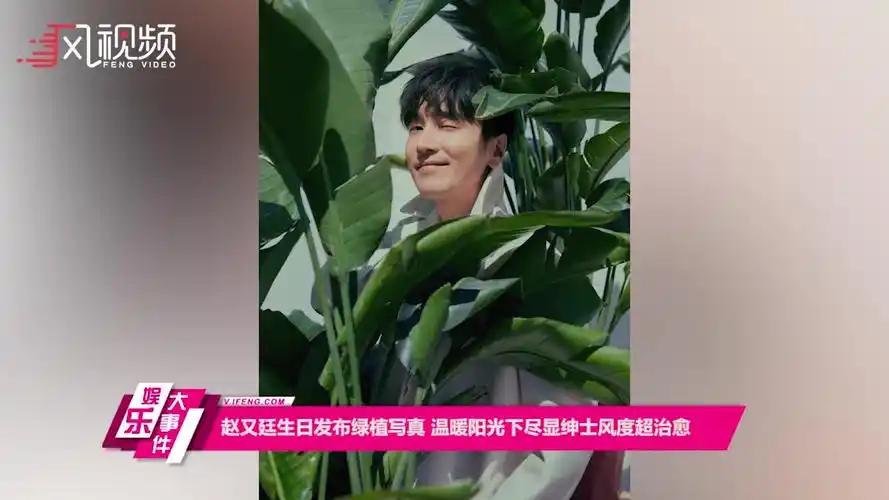 赵又廷生日发布绿植写真 温暖阳光下尽显绅士风度超治愈