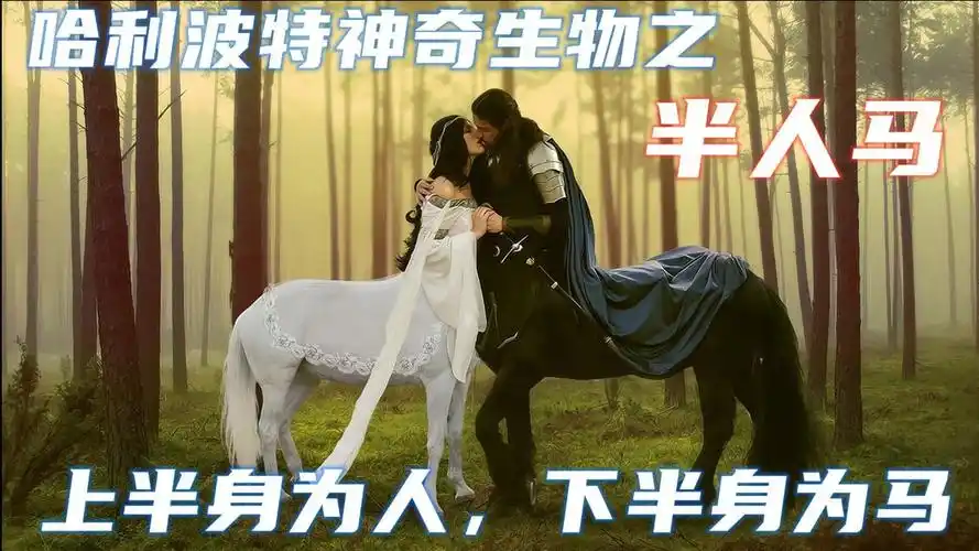 哈利波特的半人马占卜天赋胜过特里劳妮却非常仇视人类