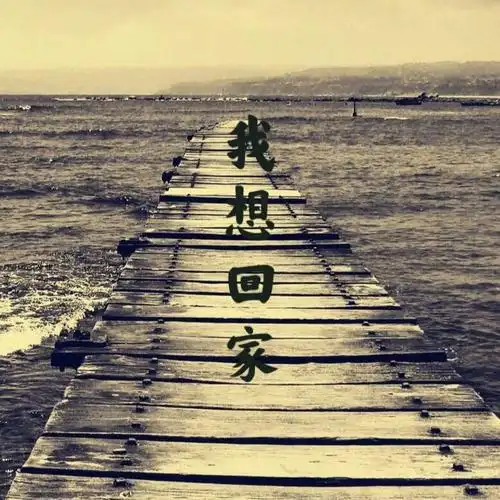 薛起超我想回家demo