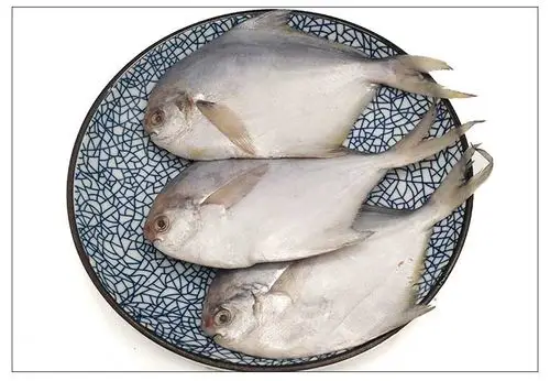 青岛海鲜晶鱼新鲜鲜活深海冷冻平鱼银鲳鱼小晶鱼6斤