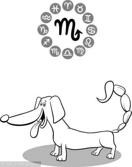卡通狗是天蝎座的星座