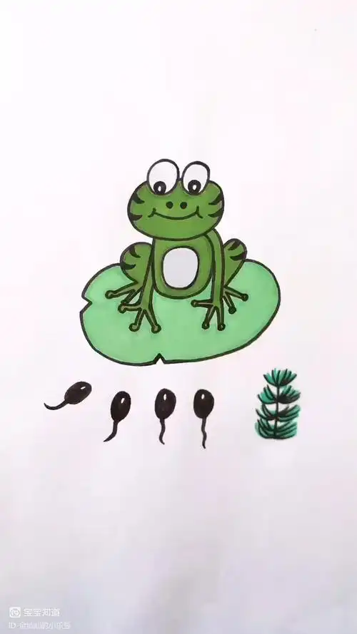 简笔画小蝌蚪终于找到自己的妈妈啦