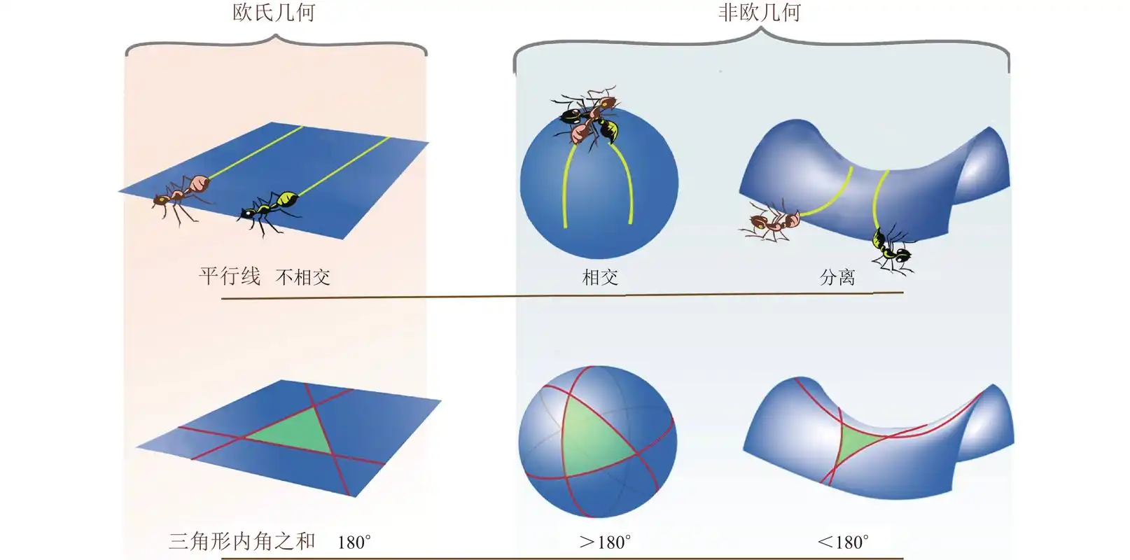 图                   欧氏几何与非欧几何的