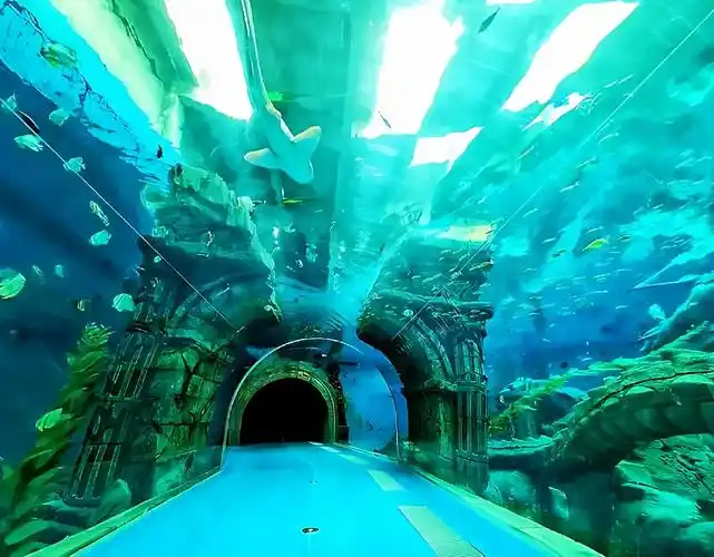 探索海底秘境-波塞冬海底世界游玩攻略.