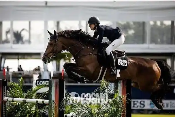 "甜茶新女友",只是乔布斯女儿一串硬核身份中最普通的那个|lisa|盖茨