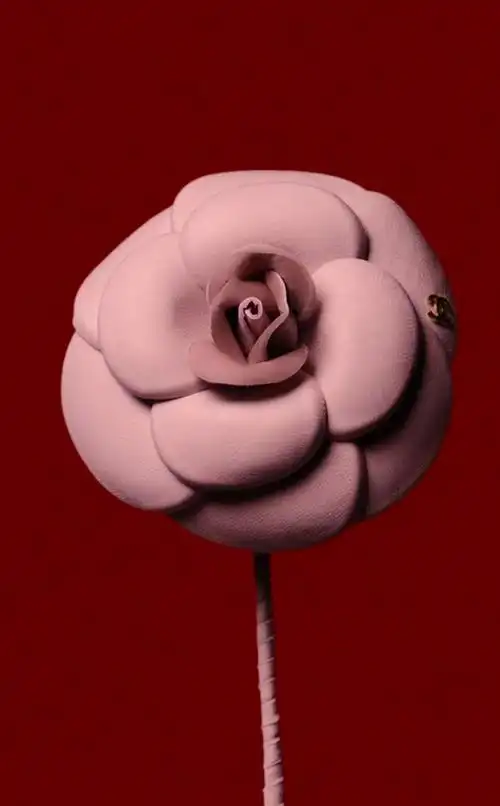 香奈儿山茶花唇膏彩妆