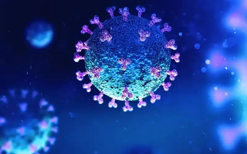 新冠病毒示意图