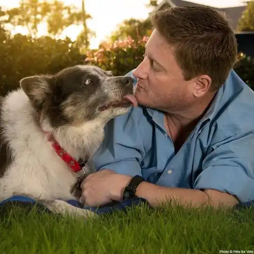 connect with the veterans site