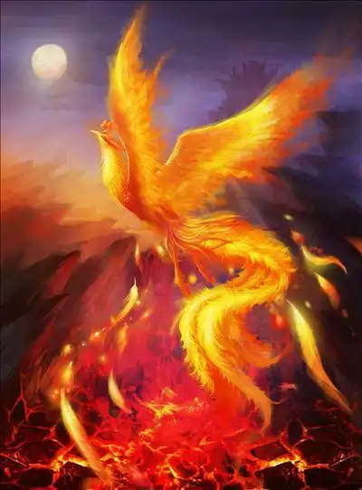 朱雀和凤凰有什么区别,四季与四大神兽区别?_68百科