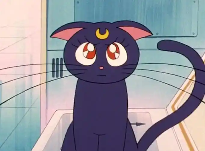 黑猫警长的正义,机智,英勇,帅气成为我们童年时期的美好记忆