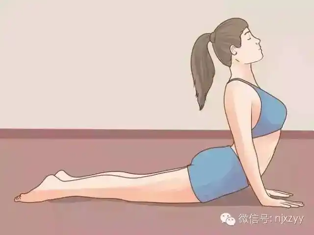 拉伸背部,保护脊柱