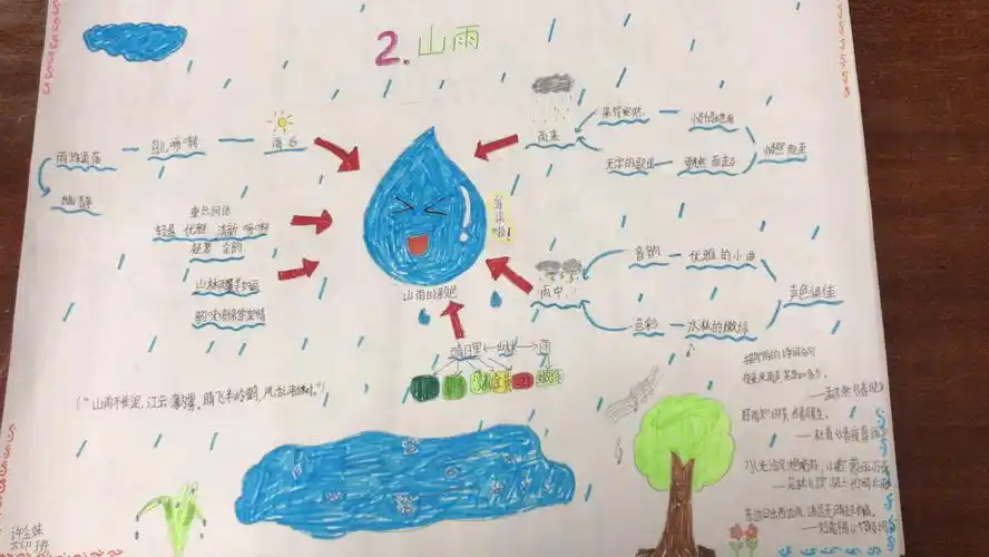 五六年级思维导图比赛