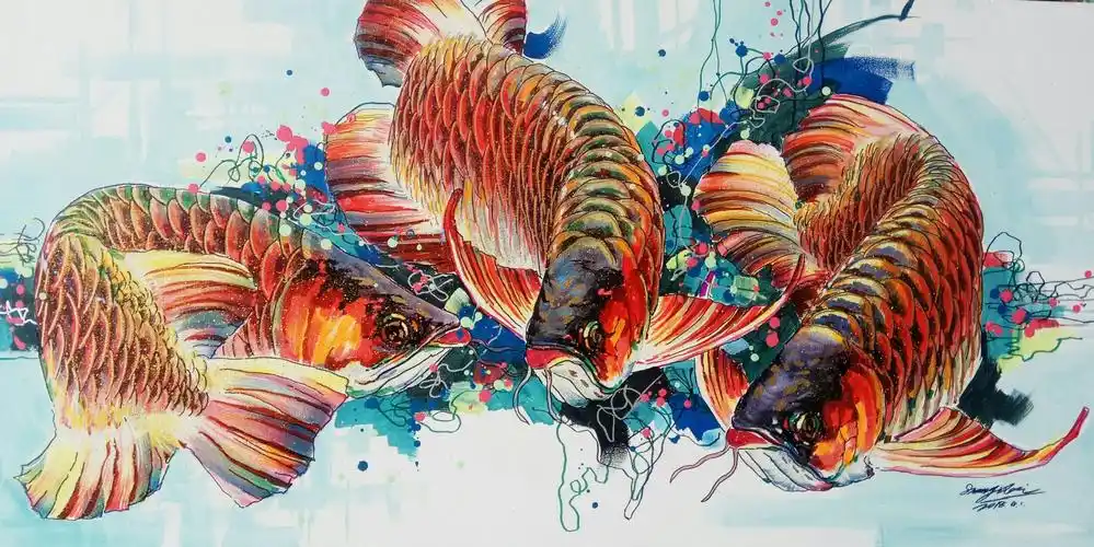 单一磊龙鱼系列作品集