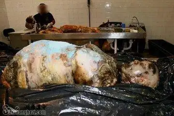 老汉与老婆吵架独自去岩洞服毒自杀发现时已成白骨