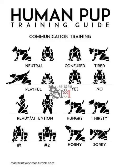 字母圈k9tj的标准动作图解教学,另外谈谈杏奴和女性瘾者