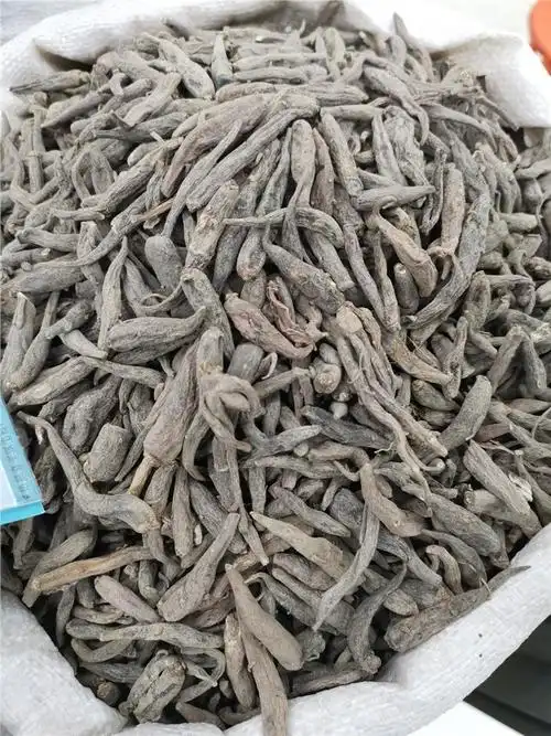 双肾参《全国中草药汇编》收载的草药,药用来源是兰