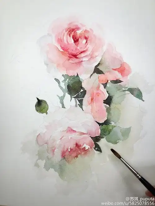 画一两朵落花～#水彩过程##水彩# (作者: 苏洱水彩 )