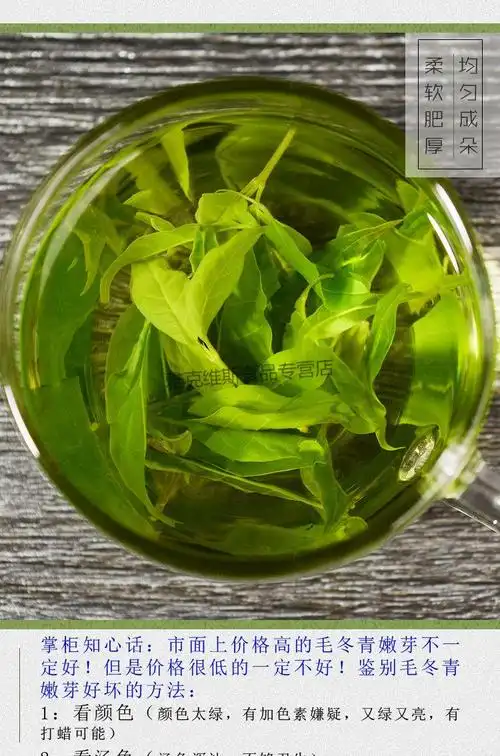 云南毛冬青嫩芽茶叶云南青山绿水小叶苦丁茶礼盒装一级250克装2盒