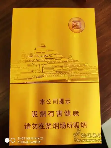 顶部有金砖红黄绿会徽,下面用字母写的厦门字样,标志着金砖会议在厦门