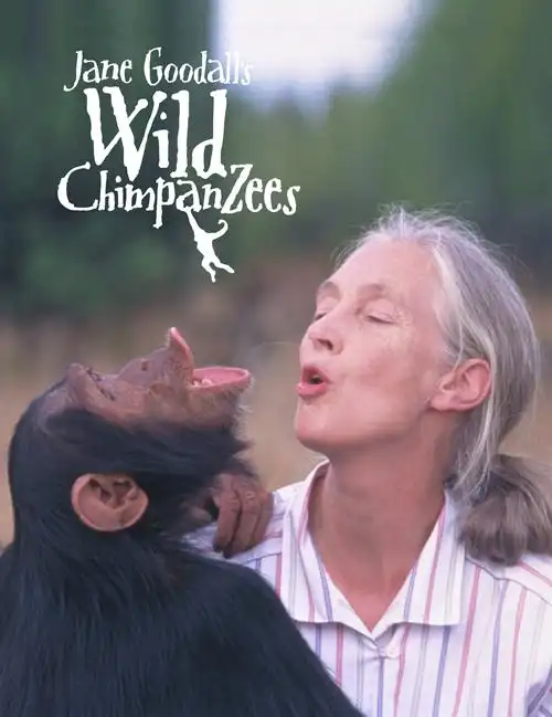 jane goodalls wild chimpanzees | macgillivray freeman