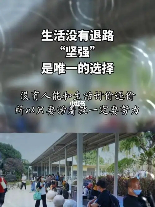 生活没有退路坚强是唯一选择