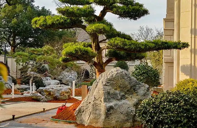 杭州园林景观石厂家直销 天然英德石假山案例