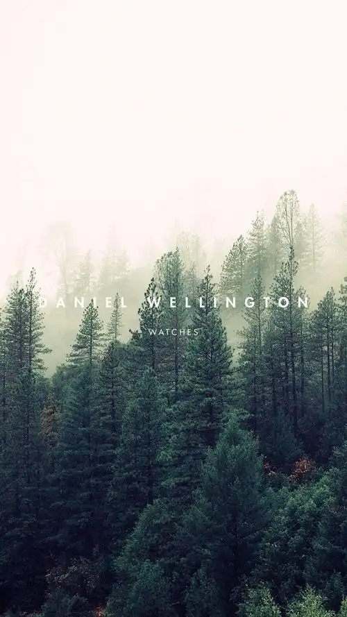 dw新春壁纸# 大年初五万事吉.