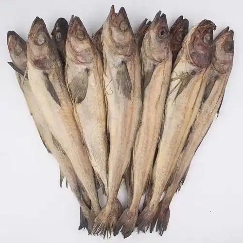 【朝鲜鱼】-朝鲜鱼厂家,品牌,图片,热帖-阿里巴巴